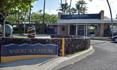 the front of the Waikiki Aquarium