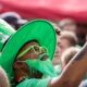 With green and glee, major US parades mark St. Patrick’s Day — a little early