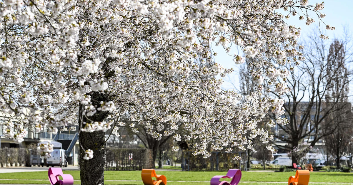 The first day of spring in 2024 is a day earlier than typical years. Here's why.