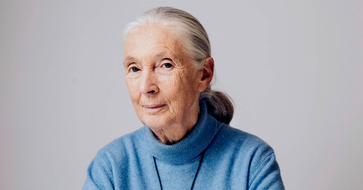 Jane Goodall on Her 90th Birthday and Her Legacy