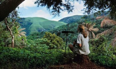 Jane Goodall’s 90th birthday marked with stunning images by 90 female photographers