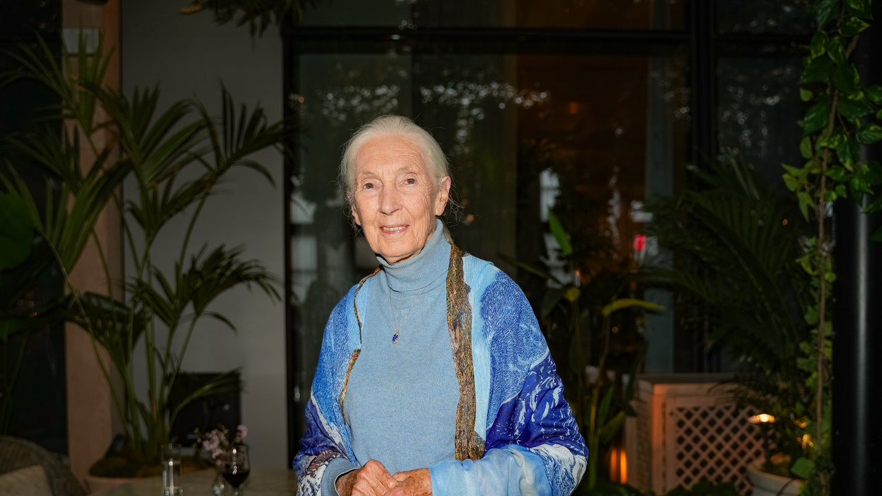 On Her 90th Birthday, Jane Goodall Tells Us Her Wish