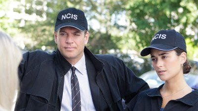 How Many NCIS Shows Are There A Complete Guide to Every Navy Spinoff Over the Years 181