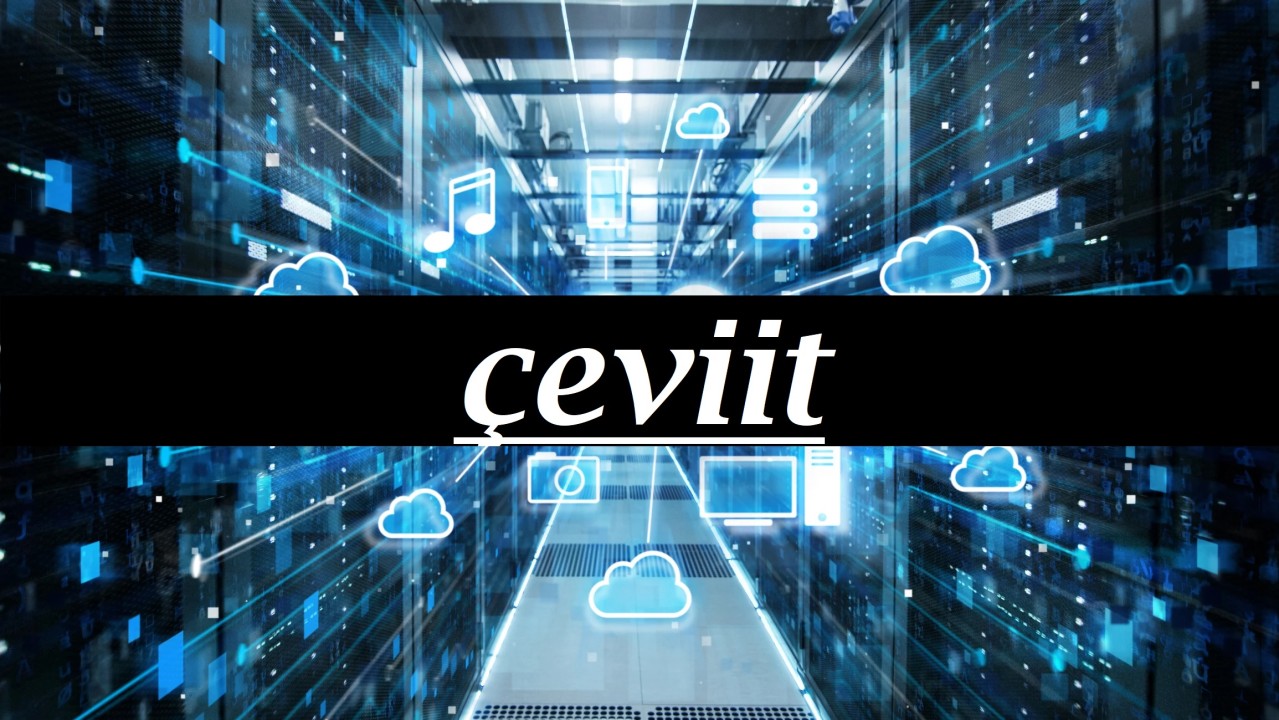 Boosting Business Success with çeviit