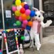 Easter bunny visits downtown Frankfort