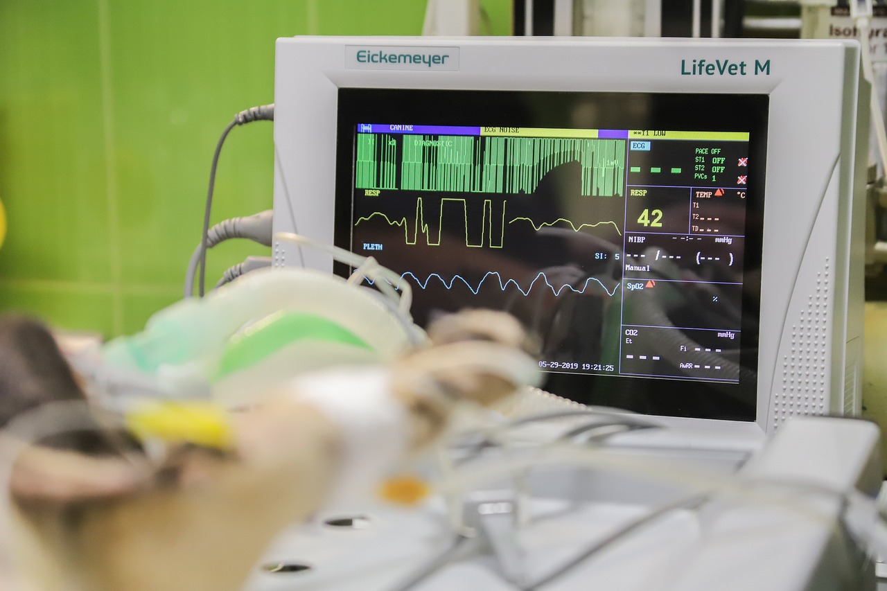 IoT in Healthcare: The Potential of Smart Medical Devices