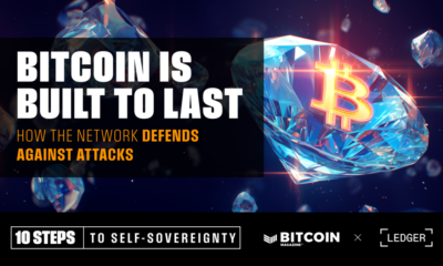 Bitcoin Is Built To Last: How The Network Defends Against Attacks