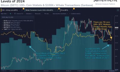 Bitcoin Whale transactions trend.