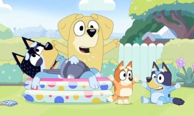 'Bluey' Episode Dad Baby is Now Streaming on YouTube