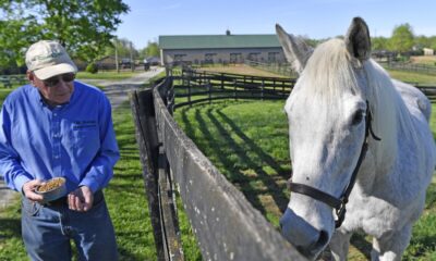 For ex-Derby winner Silver Charm, it's a life of leisure and Old Friends at Kentucky retirement farm