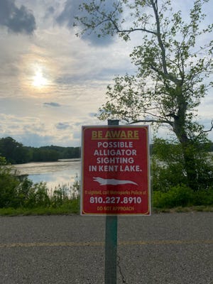 Metroparks Police posted this sign in Kensington on Thursday, May 16, 2024, warning of a possible alligator in the lake.