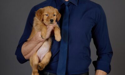 Stephen Huszar Jokes Everything Puppies Pets Were More Trained Than Him