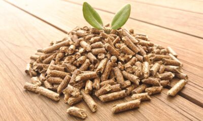 The Eco-Friendly Choice: Harnessing the Power of Wood Pellets