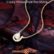 The Lucky Horseshoe Necklace: A Symbol of Purity and Luck