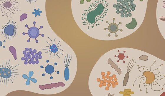 The Microbiome: Your Body's Invisible Ecosystem