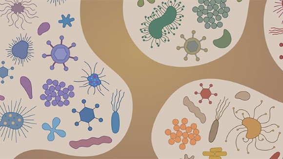 The Microbiome: Your Body's Invisible Ecosystem