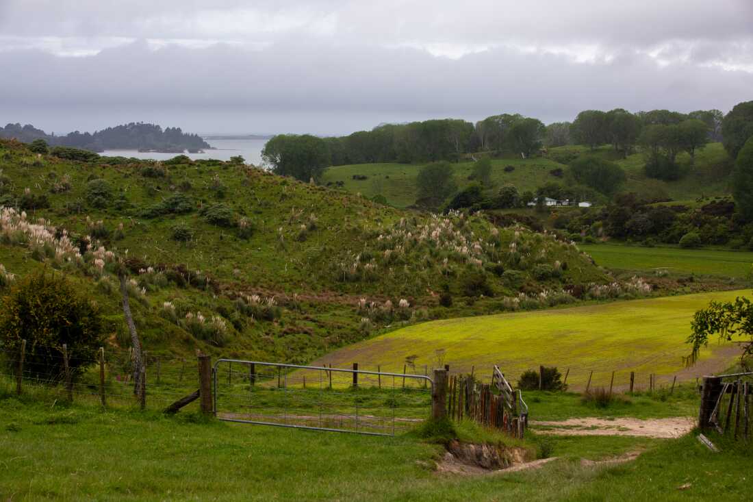 Landscape by Thomas