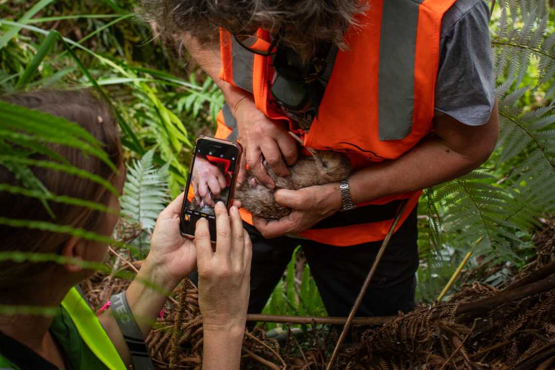 Claire Travers holds a kiwi while Keturah bouchard takes pictures.