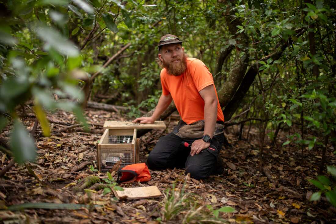 Tom Armstrong, predator control team leader for the Whakatane Kiwi Trust